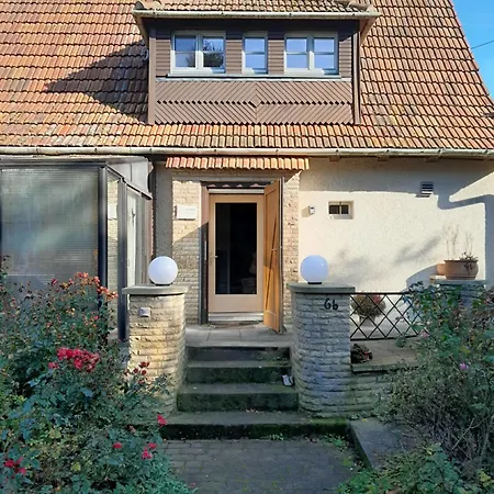 Lichtblick Kurort Gohrisch